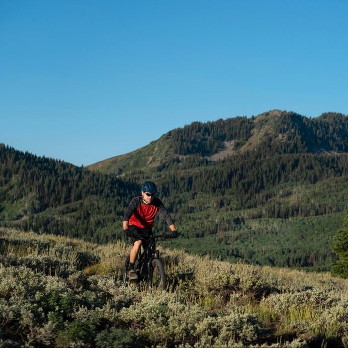 Mountain biking in the Vosges mountains near Les Bas Rupts hotel